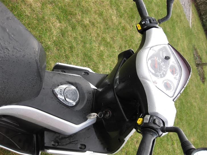 PGO                     G-max billede 8