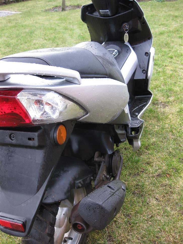 PGO                     G-max billede 9