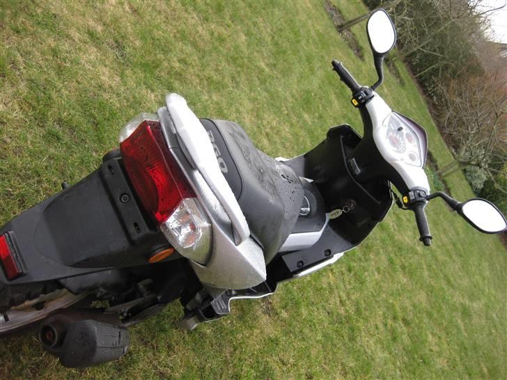 PGO                     G-max billede 10