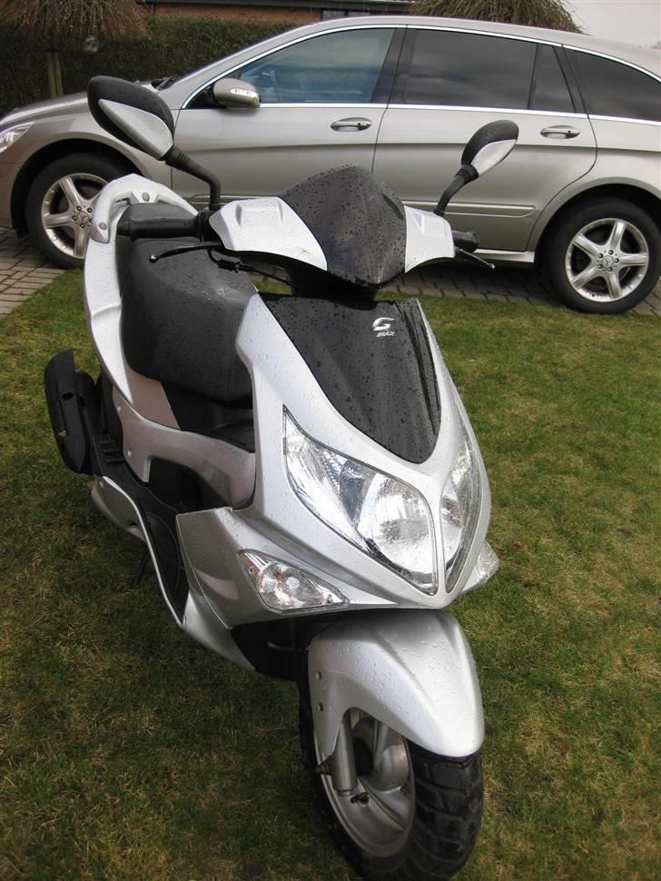 PGO                     G-max billede 11