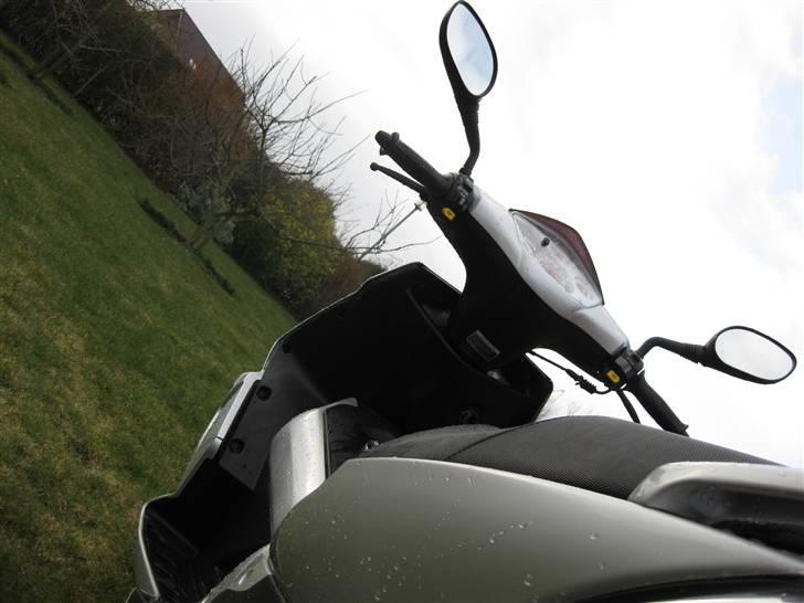 PGO                     G-max billede 13