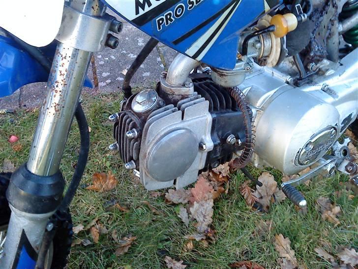 MiniBike ducar 125cc  TILSALG billede 13