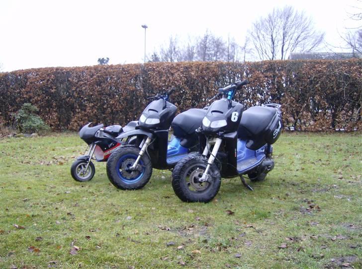 Aprilia Rally AC *6´EREN* (SOLGT) - Black Power...  billede 19