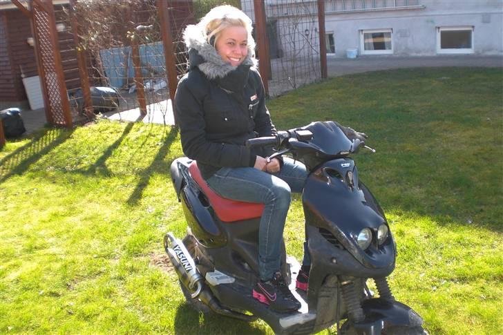 PGO PmX >>solgt<< billede 6