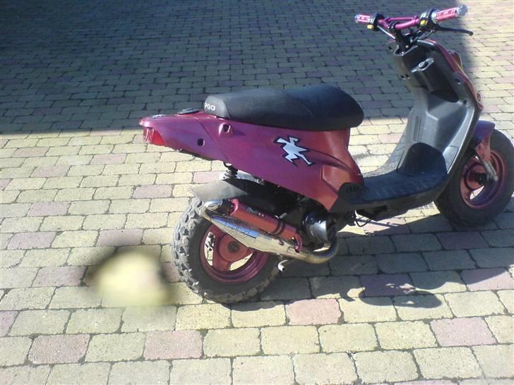 PGO Hot50 billede 15