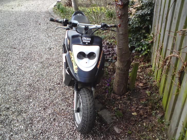 PGO hot 50 SOLGT  billede 6