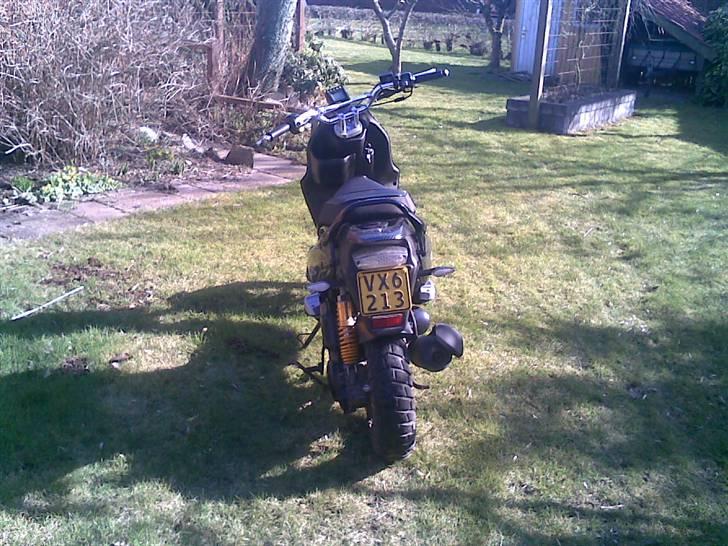 PGO PMX Naked Carbon (solgt) billede 11