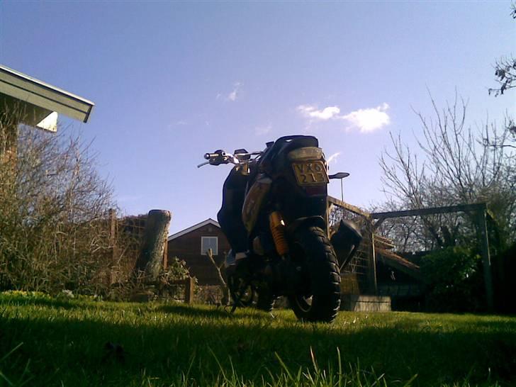 PGO PMX Naked Carbon (solgt) billede 12