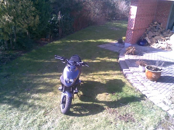 PGO PMX Naked Carbon (solgt) billede 17