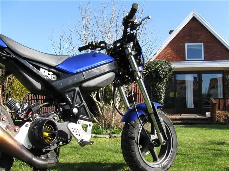 Suzuki Street Magic |Solgt billede 3