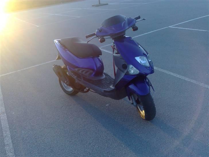 PGO Dr.big. solgt billede 2