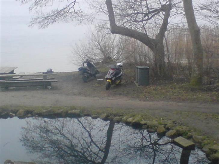 Aprilia sr50 lc Projekt billede 8