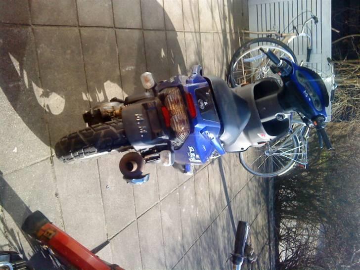 PGO Dr.Big MONICA<3 billede 5