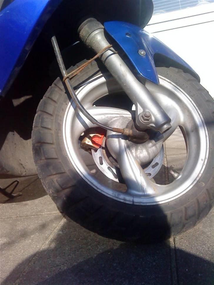 PGO Dr.Big MONICA<3 billede 9