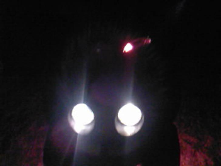 Peugeot TKR Furious *Stjålet* billede 14