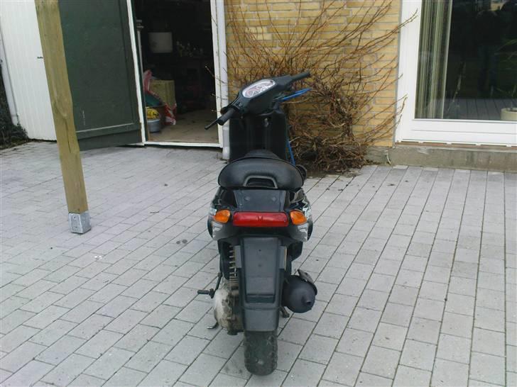 Piaggio Typhoon *SOLGT* billede 4