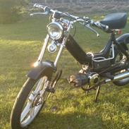 Puch Maxi K "Lakridsen"