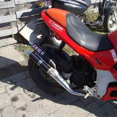 Gilera DNA