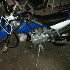 Honda thump