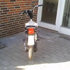 Suzuki Fz50 (solgt)