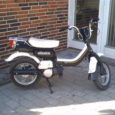 Suzuki Fz50 (solgt)