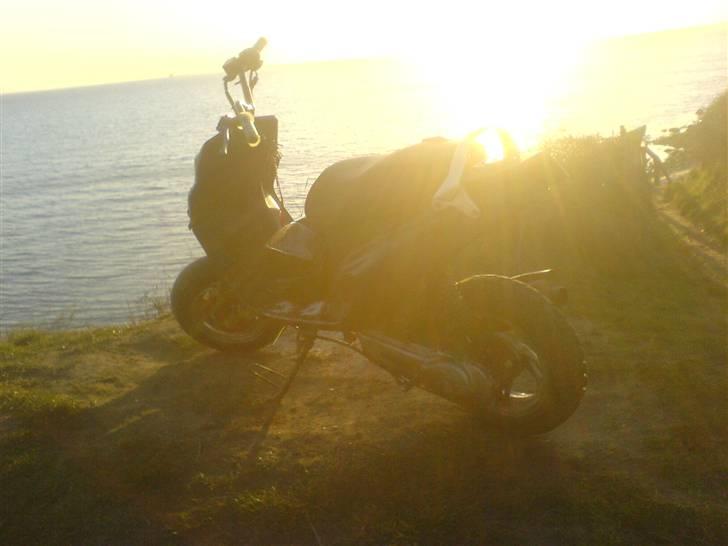 PGO hot 50 solgt billede 10