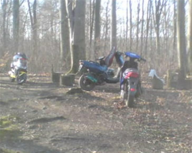 Aprilia sr50 lc Projekt billede 9