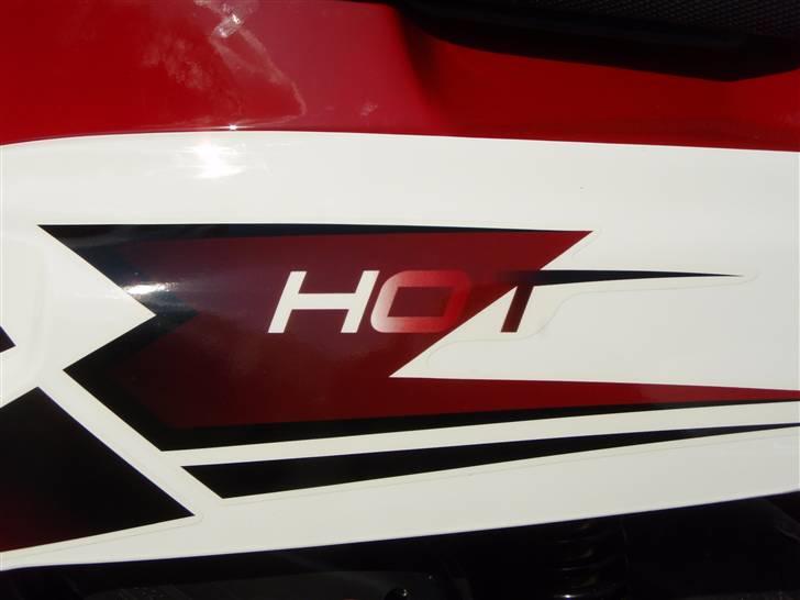 PGO Hot 50 Solgt billede 7