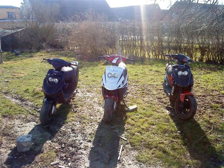 PGO Hot 50 billede 14