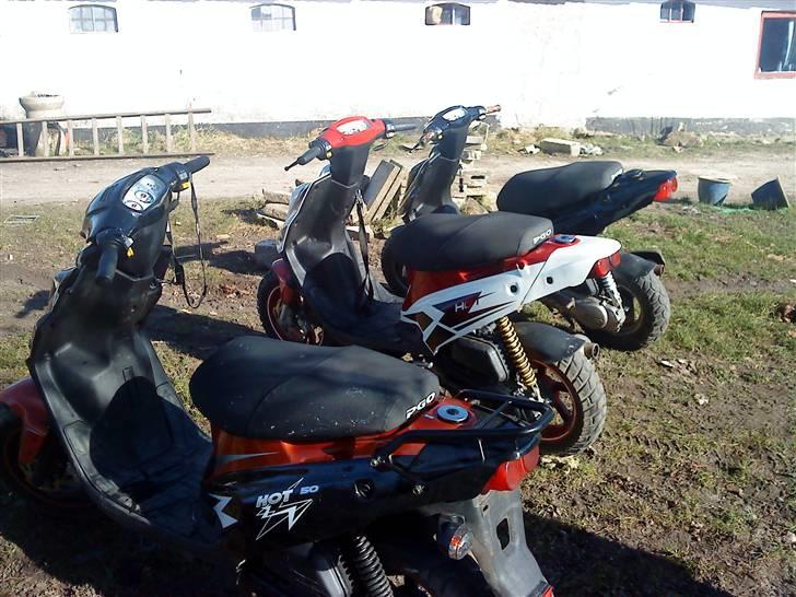 PGO Hot 50 billede 16