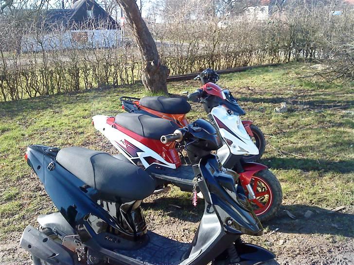 PGO Hot 50 billede 17