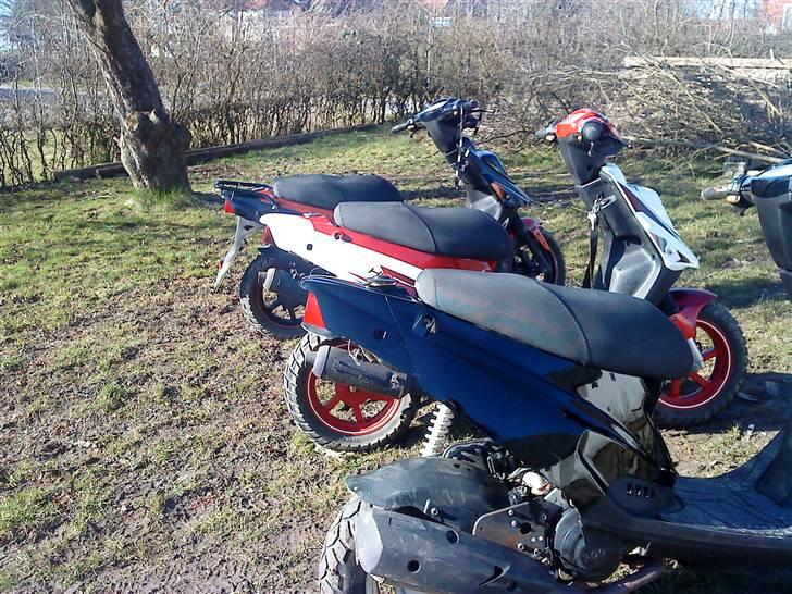 PGO Hot 50 billede 18