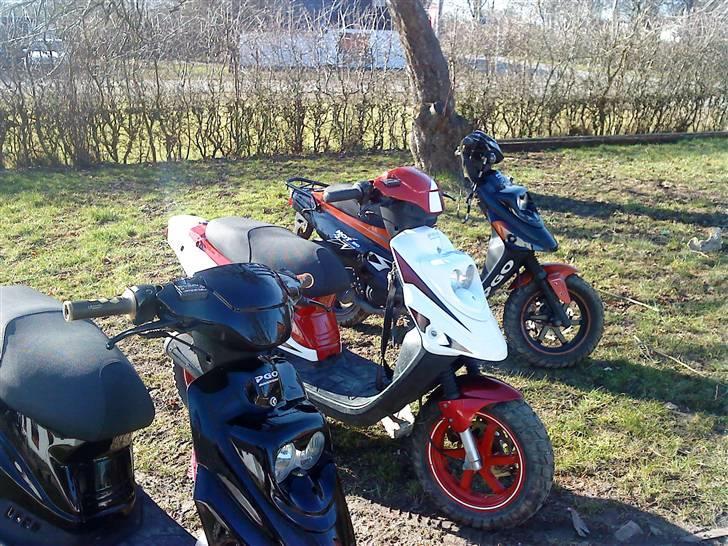 PGO Hot 50 billede 19