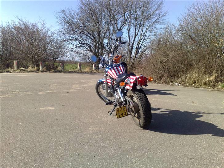 Regal Raptor solgt billede 2