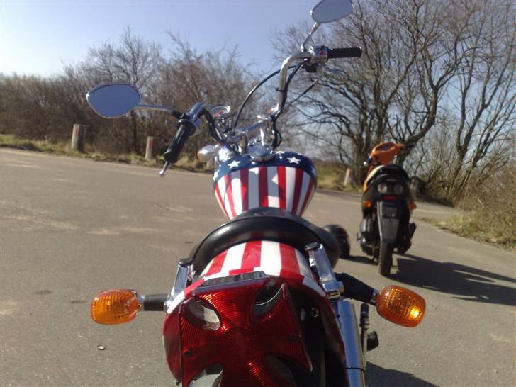 Regal Raptor solgt billede 3