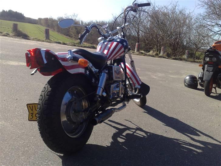 Regal Raptor solgt billede 4