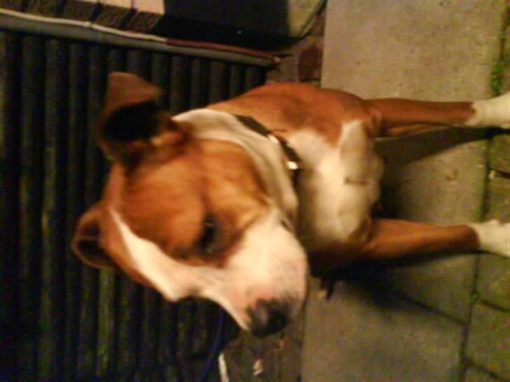 Yamaha bws spy billede 6