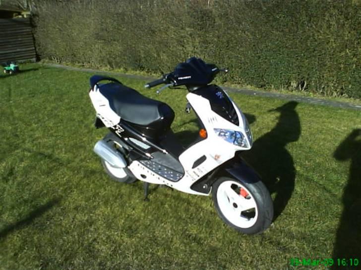 Peugeot Speedfight 2 R-Cup billede 6