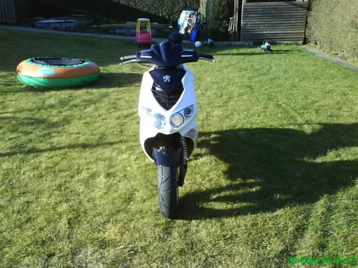 Peugeot Speedfight 2 R-Cup billede 12