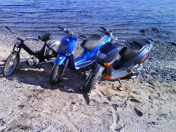 Puch Maxi K solgt savn !! 2008 - min maxi til venstre, mortens rally i midten, stephans rally til højre:) billede 9