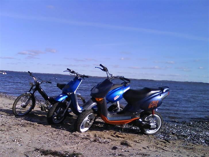 Puch Maxi K solgt savn !! 2008 - min maxi til venstre, mortens rally i midten, stephans rally til højre:) billede 10