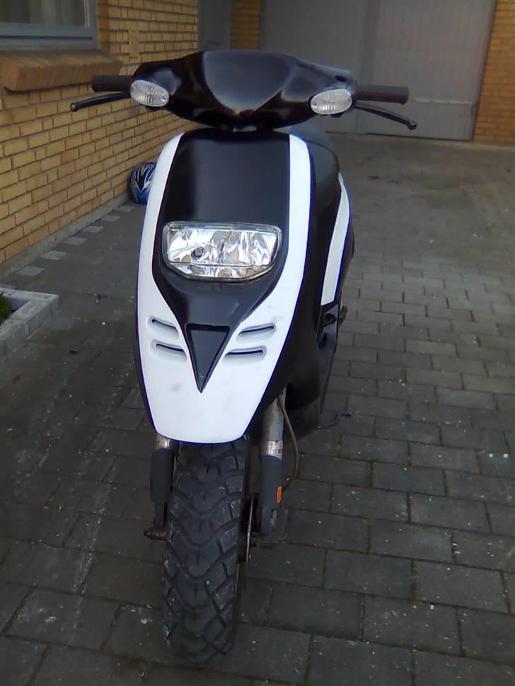 Piaggio Typhoon (Til Salg) billede 9