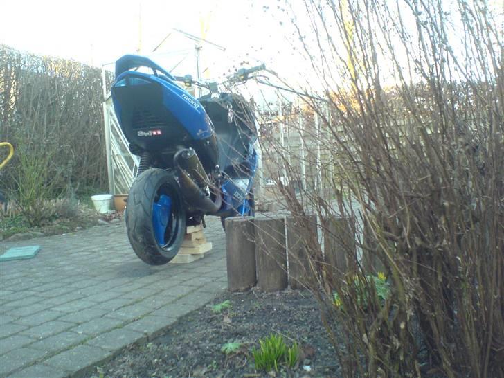 Peugeot Speedfight 2 - Da den var tunet billede 10