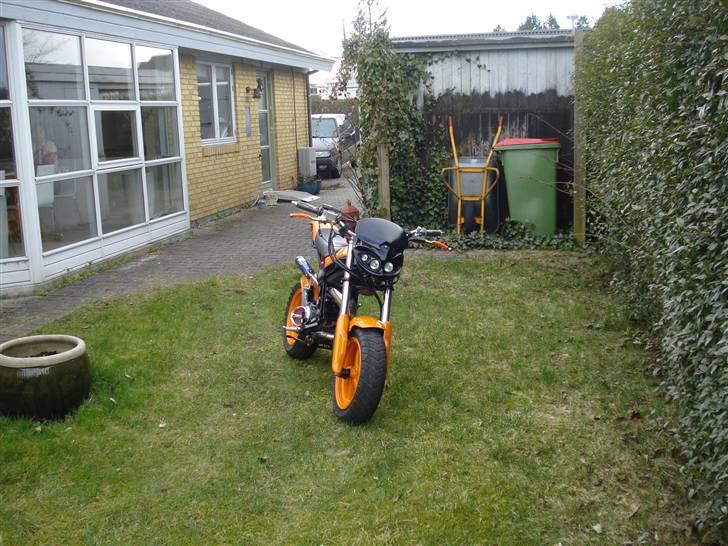 Suzuki Street Magic SOLGT. billede 11