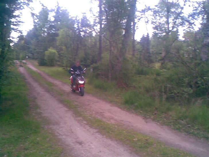 CPI hussar  - cpi hussar :D billede 1