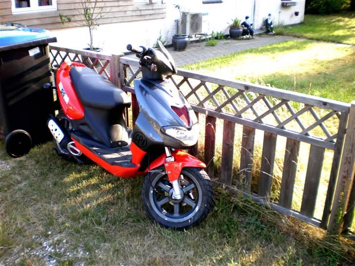 CPI hussar  billede 11