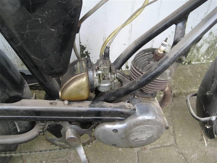 Sco Rekord billede 6