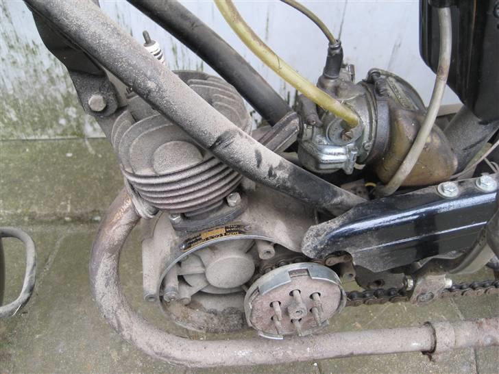 Sco Rekord billede 9