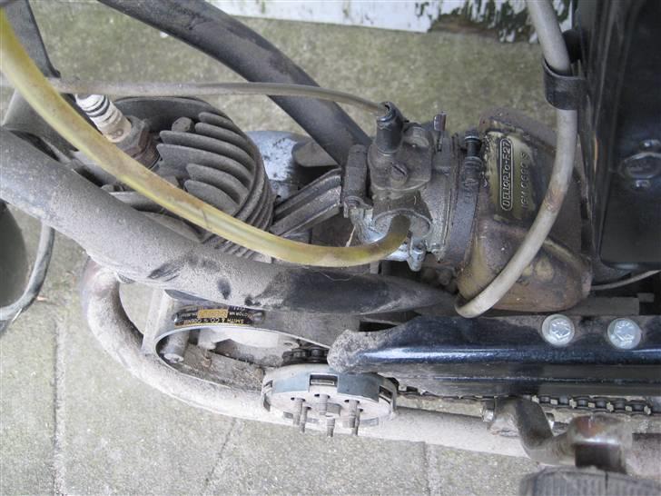 Sco Rekord billede 11