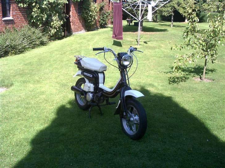 Suzuki Fz50 (solgt) billede 13